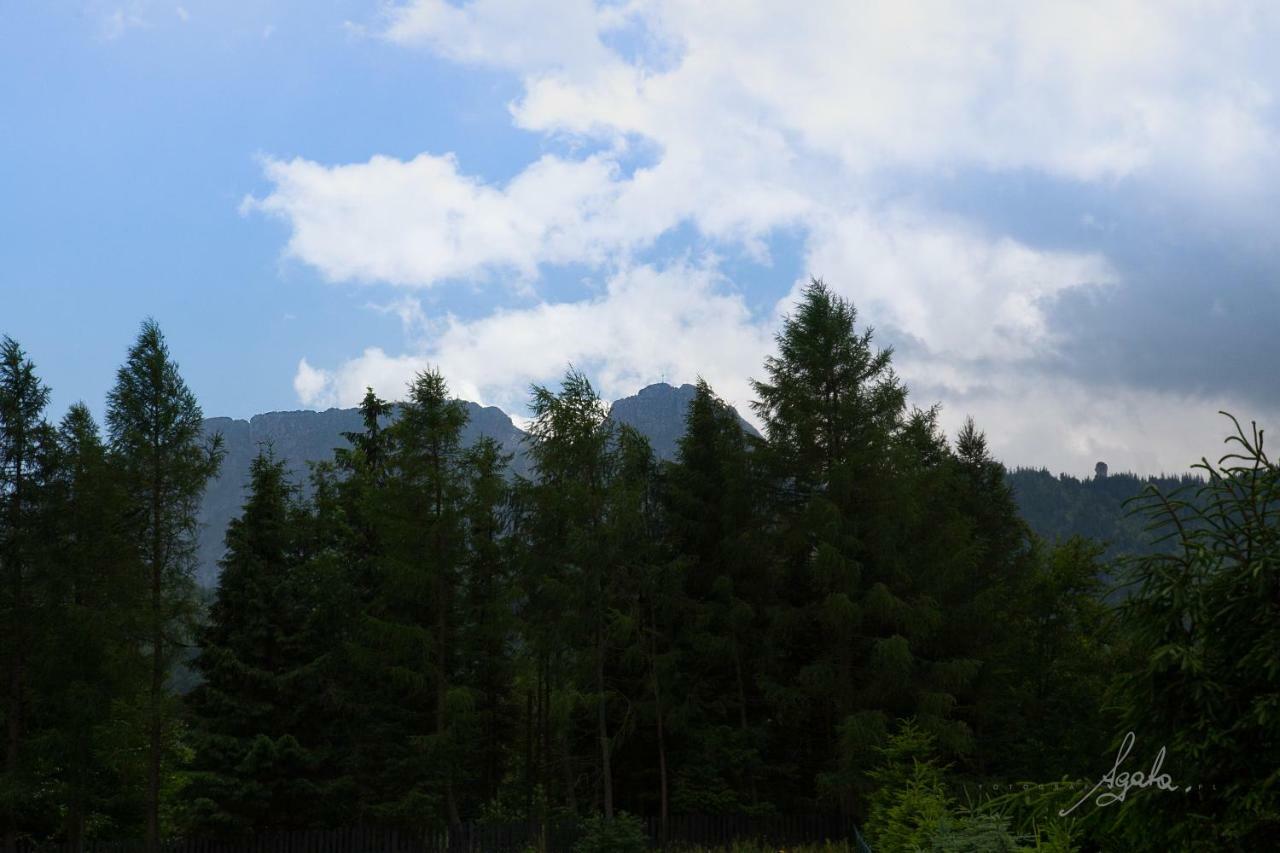 Apartament Krolewski Superior Z Sauna Zakopane Exterior photo