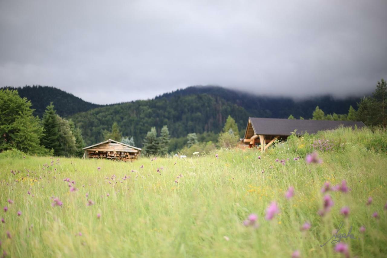 Apartament Krolewski Superior Z Sauna Zakopane Exterior photo